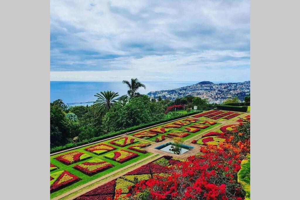 Funchal Center Apartment II Buitenkant foto